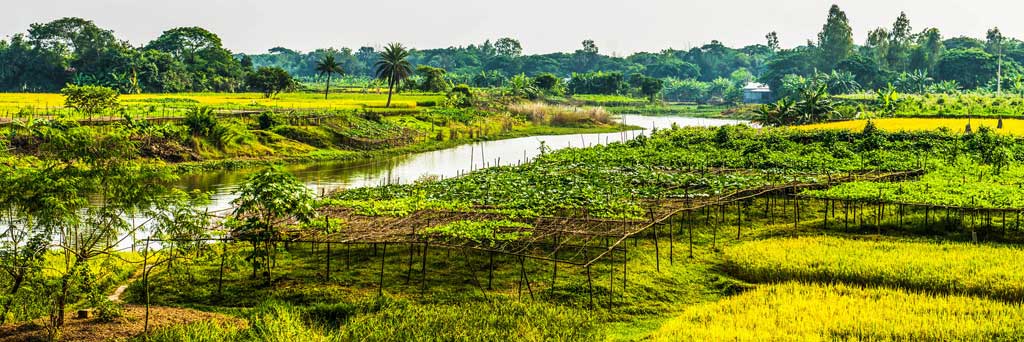 green bangladesh tours