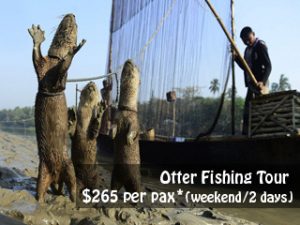 otter-fishing-thumb