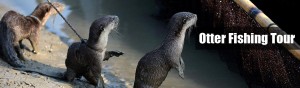 otter-fishing-tour-in-bangl