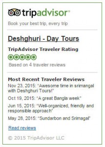 review_tripadvisor