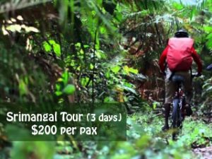srimangal_tour_from_dhaka