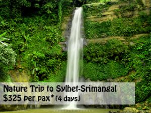 Sylhet Srimangal 4 day trip
