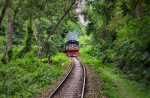 A train journey will go through the jungle of lawachora