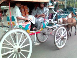 Horse-drawn carriage in old Dhaka
