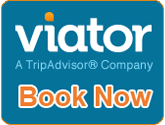 Viator and trip advisor company in Bangladesh