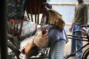 Fish Market in Chittagong city tour