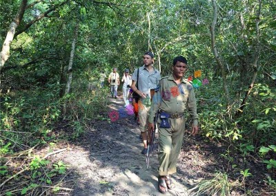 Jangule treaking-in Sundarban