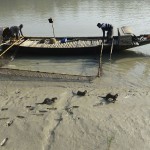 otter fishing bangladesh