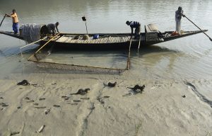 otter fishing bangladesh