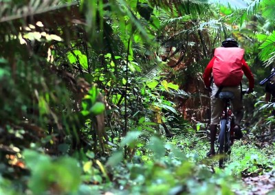 Cycle riding in Srimangal