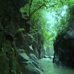 Jungle trail in Bandarban