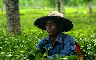 8 Days Adventure : Explore Nature of Bangladesh and biggest sea beach in the World (DV-1)