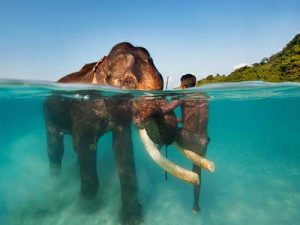 ANDAMAN TOUR PACKAGE