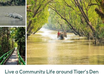 Live a Community Life around Tiger’s Den