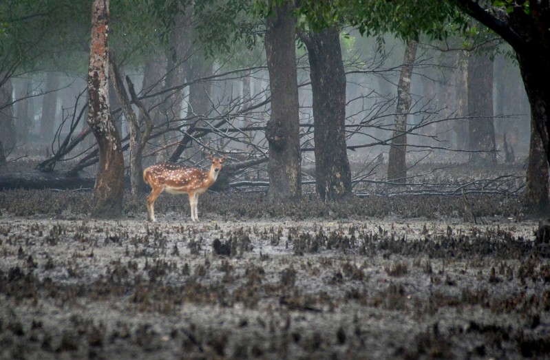 孟加拉国十大必游目的地