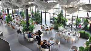 Sky Fall Restaurant