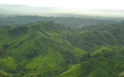 A 2026 Guide to Bandarban & Chittagong Hill Tracts : Trekking the Emerald Hills