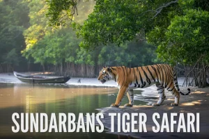 The Ultimate Deep Sundarbans Tiger Safari Guide 2026 for international wildlife enthusiasts