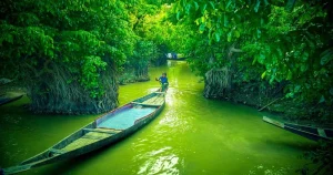 Luxury Deshghuri expedition boat navigating the emerald Ratargul Swamp Forest in 2026