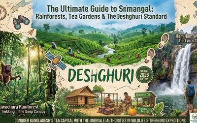 The Best Hiking Trails in Srimangal for 2026 : Rainforests & Tea Gardens