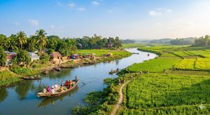 Traditional wooden boats on a calm river in rural Bangladesh surrounded by green fields and palm trees during winter.